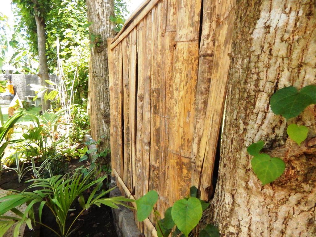 Sudi Guest House Pemuteran  Exterior photo